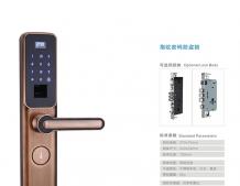 指纹密码防盗锁RS608SP